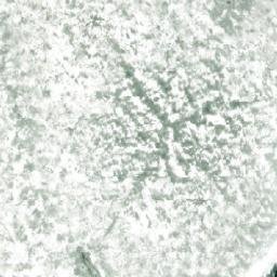 Satellite imagery of Koppelniemi, FI