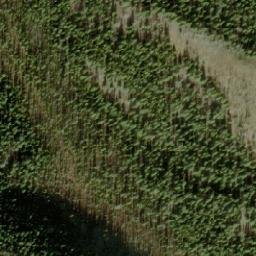 Satellite imagery of Belleview Mountain, CA
