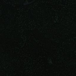 Satellite imagery of Koppelniemi, FI