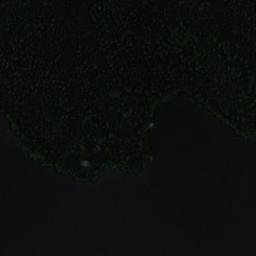 Satellite imagery of Koppelniemi, FI