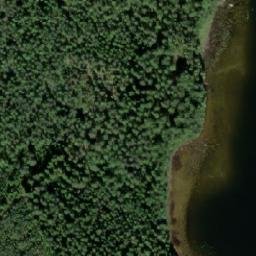 Satellite imagery of Kuikonniemi, FI