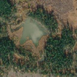 Satellite imagery of Ptarmigan Point, CA