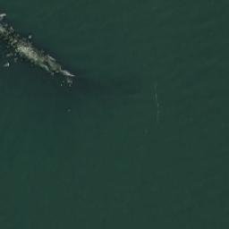 Satellite imagery of Eteläriutta, FI