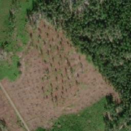 Satellite imagery of Terriniemi, FI