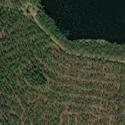 Satellite imagery of Susiniemi, FI