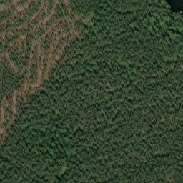 Satellite imagery of Susiniemi, FI