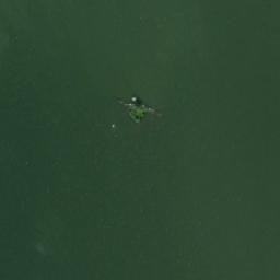 Satellite imagery of Kaakonnenänkärki, FI