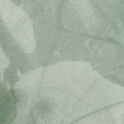 Satellite imagery of Tiimonniemi, FI