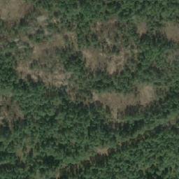 Satellite imagery of Trælevikneset, NO