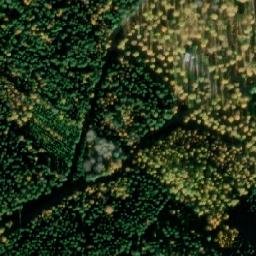 Satellite imagery of survey_point, NO