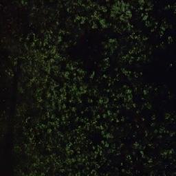 Satellite imagery of Kääppäänniemi, FI