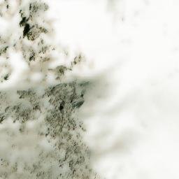 Satellite imagery of Pilot Mountain, CA