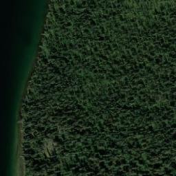 Satellite imagery of Packard Point, CA