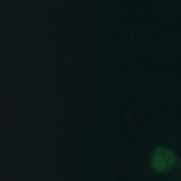 Satellite imagery of Stolen, NO