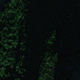 Satellite imagery of Stolen, NO
