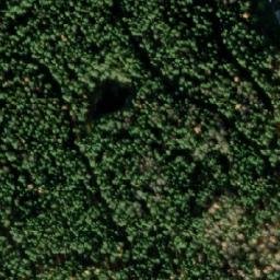 Satellite imagery of survey_point, NO