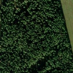 Satellite imagery of survey_point, NO