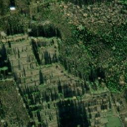 Satellite imagery of survey_point, NO
