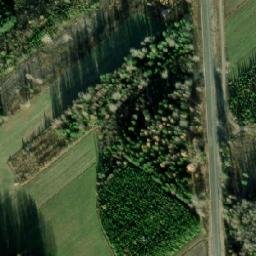 Satellite imagery of survey_point, NO