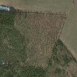 Satellite imagery of survey_point, NO