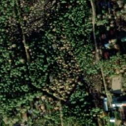 Satellite imagery of survey_point, NO
