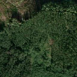 Satellite imagery of survey_point, NO