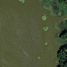 Satellite imagery of Koivikkoniemi, FI