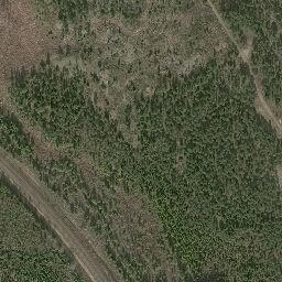 Satellite imagery of 31.7, NO