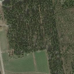 Satellite imagery of 31.7, NO