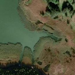 Satellite imagery of Tamminiemi, FI