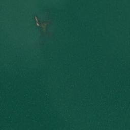 Satellite imagery of Iso Koiluoto, FI