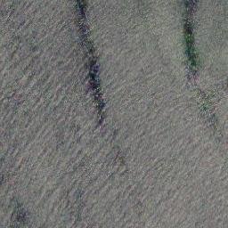 Satellite imagery of Muoskeri, FI