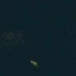 Satellite imagery of Pikipöksynkari, FI