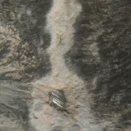 Satellite imagery of Mount McNeil, CA