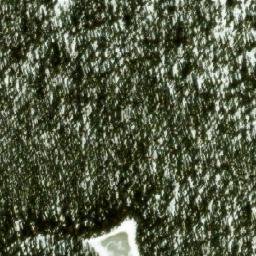 Satellite imagery of Monument 251, CA