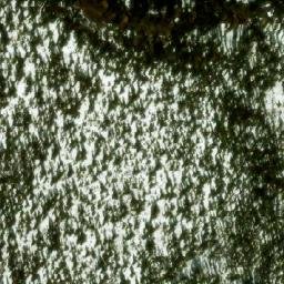 Satellite imagery of Monument 251, CA