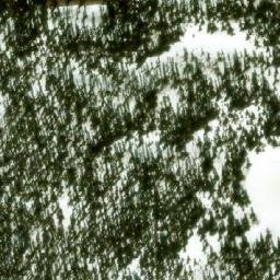 Satellite imagery of Monument 251, CA