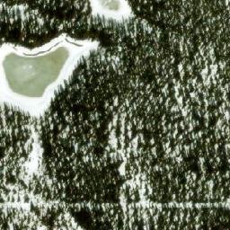 Satellite imagery of Monument 251, CA