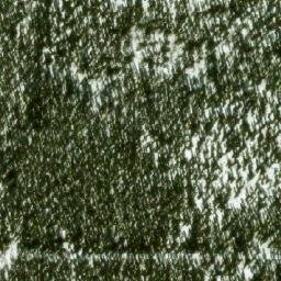 Satellite imagery of Monument 251, CA