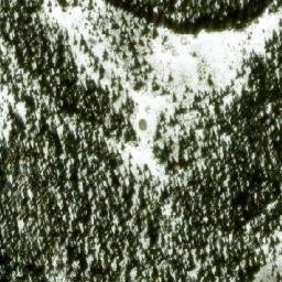 Satellite imagery of Monument 251, CA