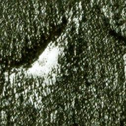 Satellite imagery of Monument 251, CA
