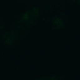 Satellite imagery of Styrsharun, AX