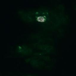 Satellite imagery of Rantkobben, AX