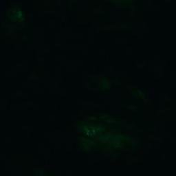 Satellite imagery of Svartsanket, AX