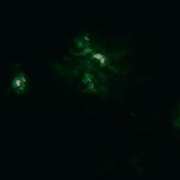 Satellite imagery of Vidskärs Grunden, AX