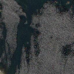 Satellite imagery of Vikarns Grynnan, FI