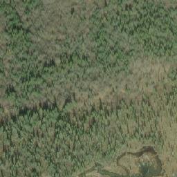 Satellite imagery of Paddy Pass, CA