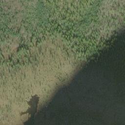 Satellite imagery of Paddy Pass, CA