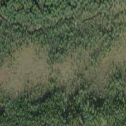 Satellite imagery of Paddy Pass, CA