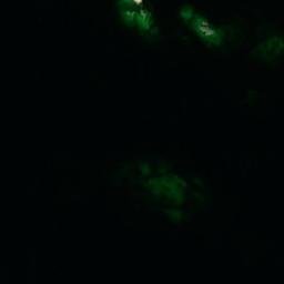 Satellite imagery of Västerskären, AX